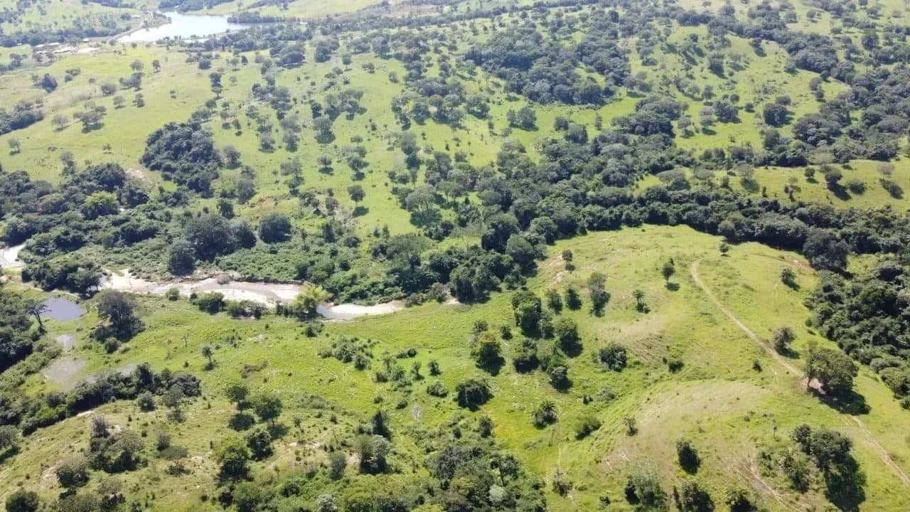 Fazenda em Goiás Velho-GO / 75 Alqueires