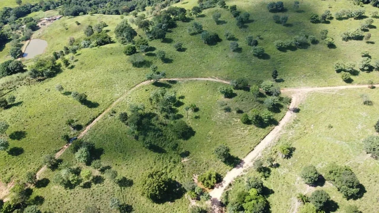 Fazenda em Goiás Velho-GO / 75 Alqueires - Miniatura 3