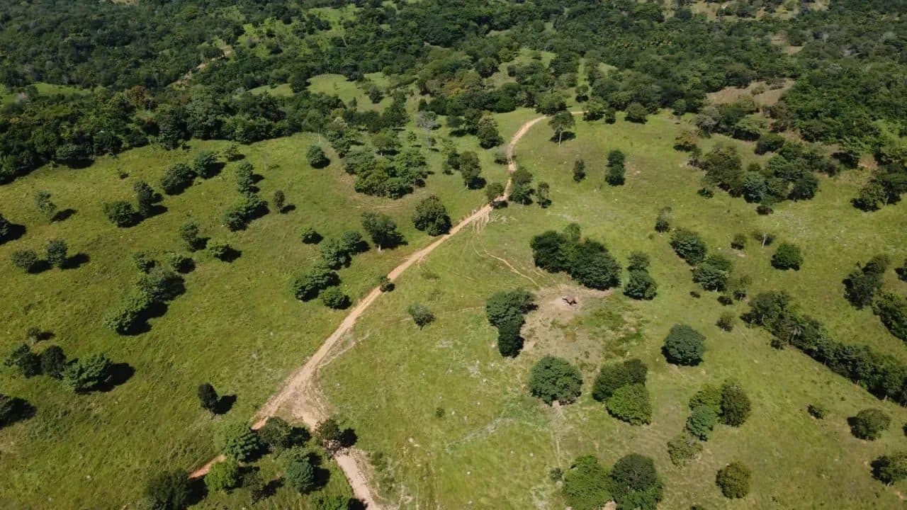 Fazenda em Goiás Velho-GO / 75 Alqueires - Miniatura 4