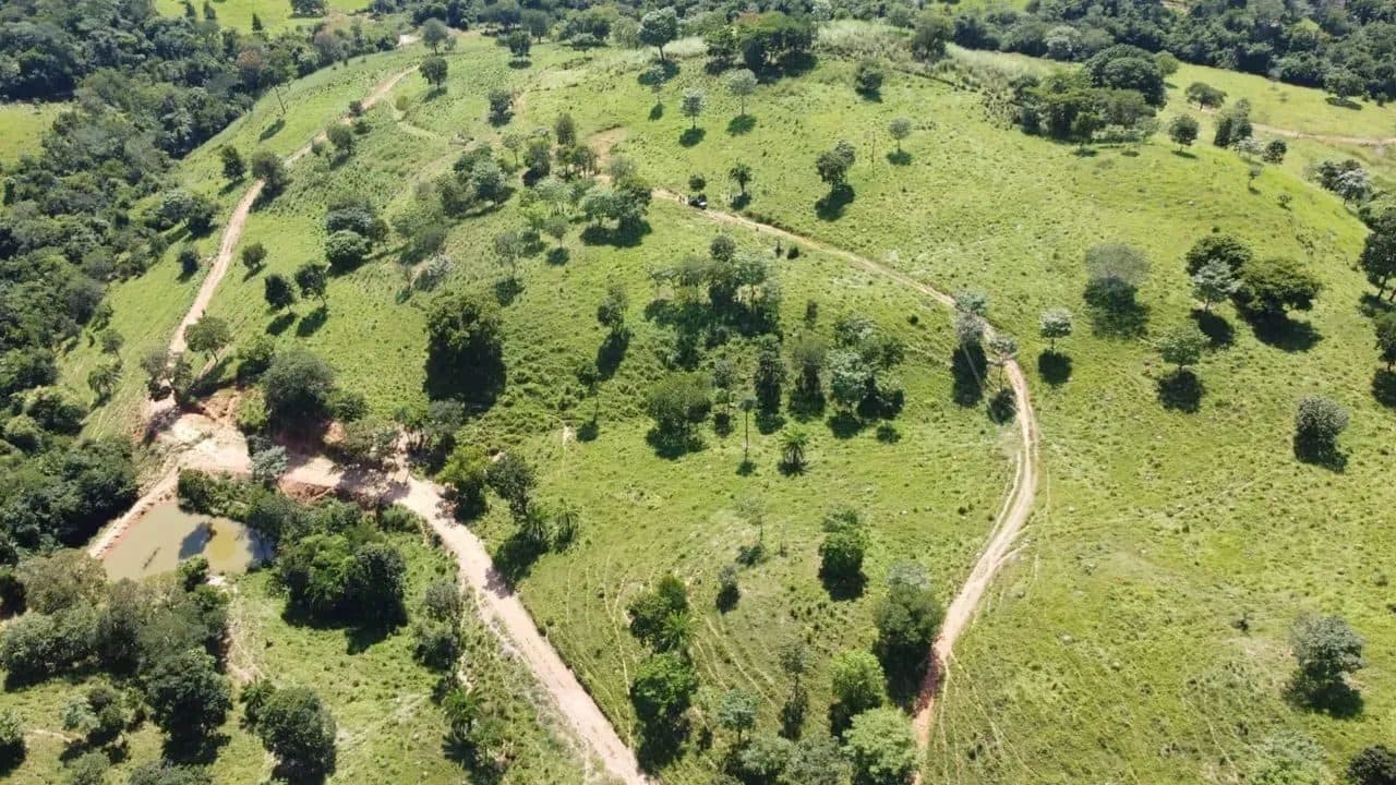 Fazenda em Goiás Velho-GO / 75 Alqueires - Miniatura 5