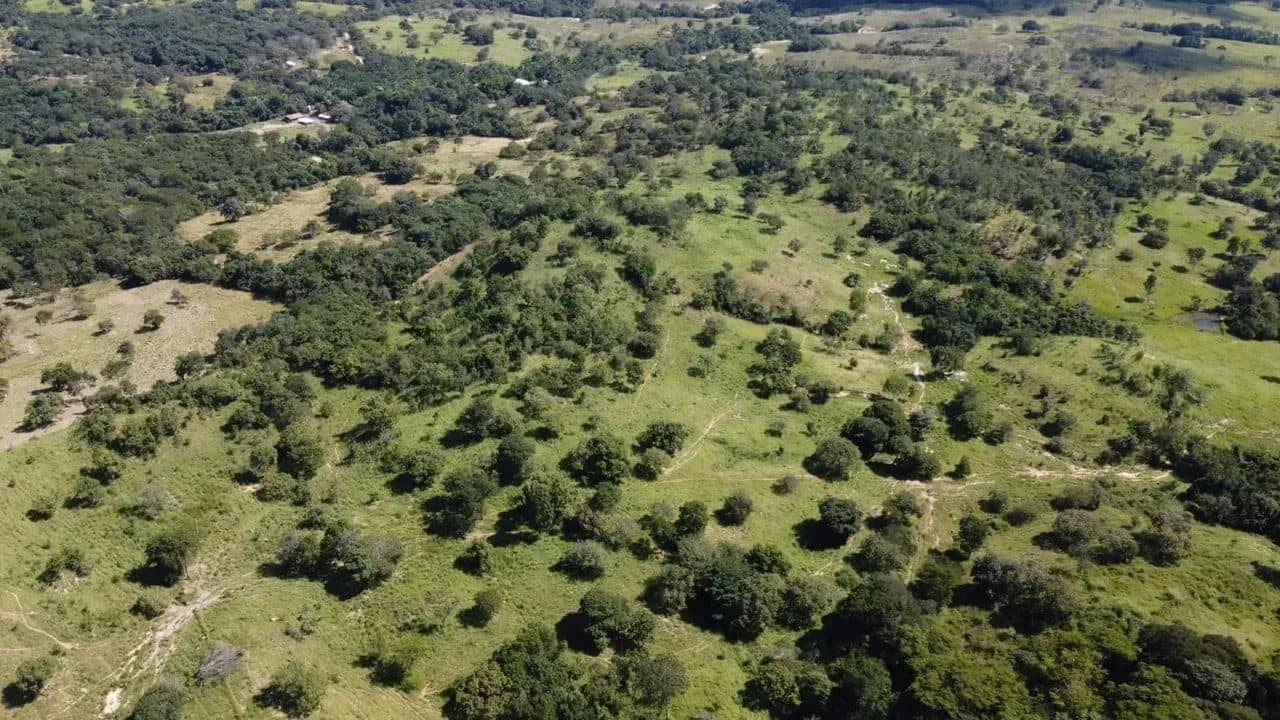 Fazenda em Goiás Velho-GO / 75 Alqueires - Miniatura 8
