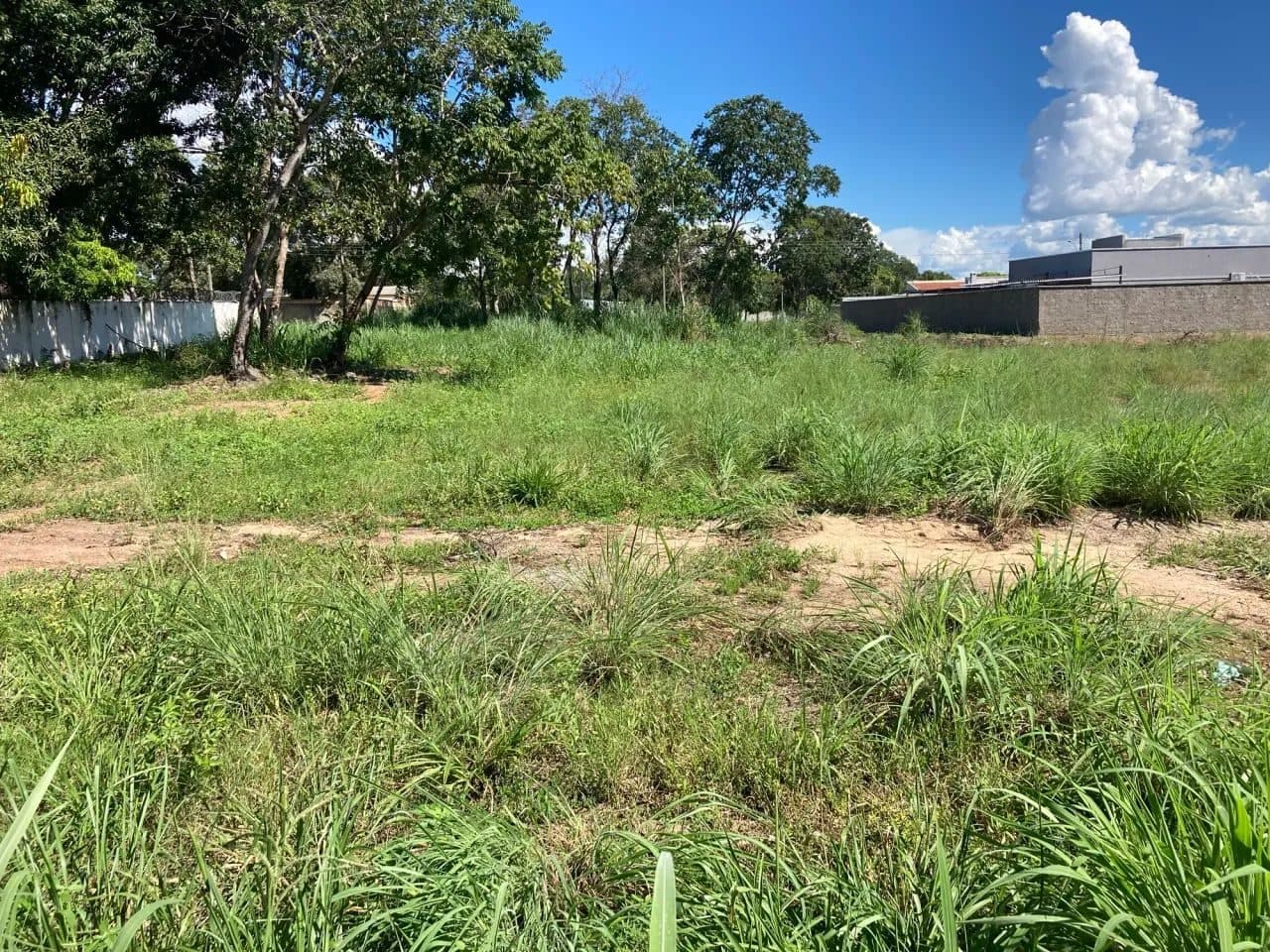Lote em Aruanã-GO - 500m2 / Ótima Localização - Miniatura 2