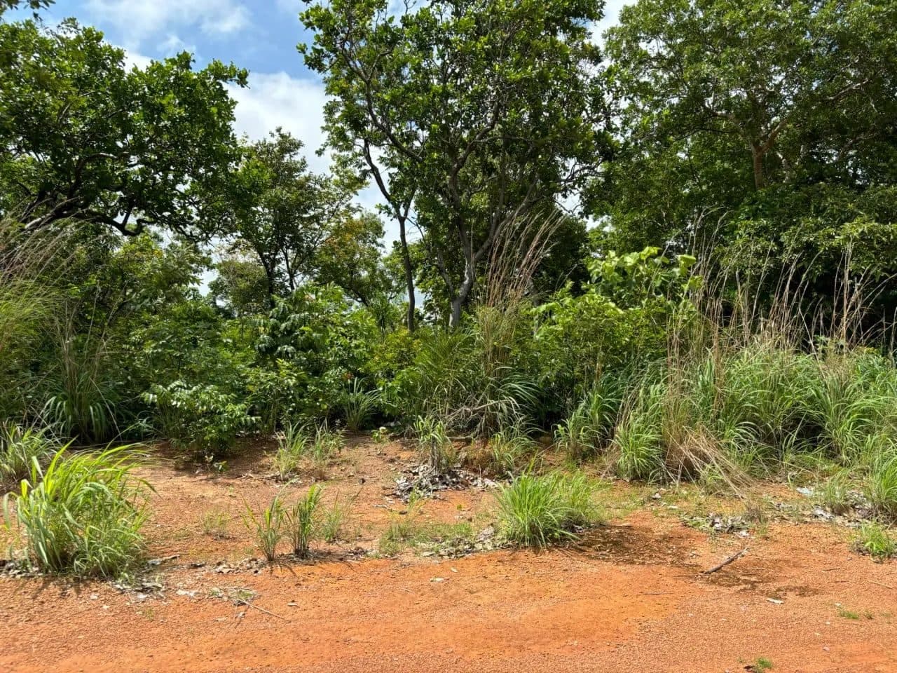 Lote em Aruanã-GO / 507m2 - Miniatura 2