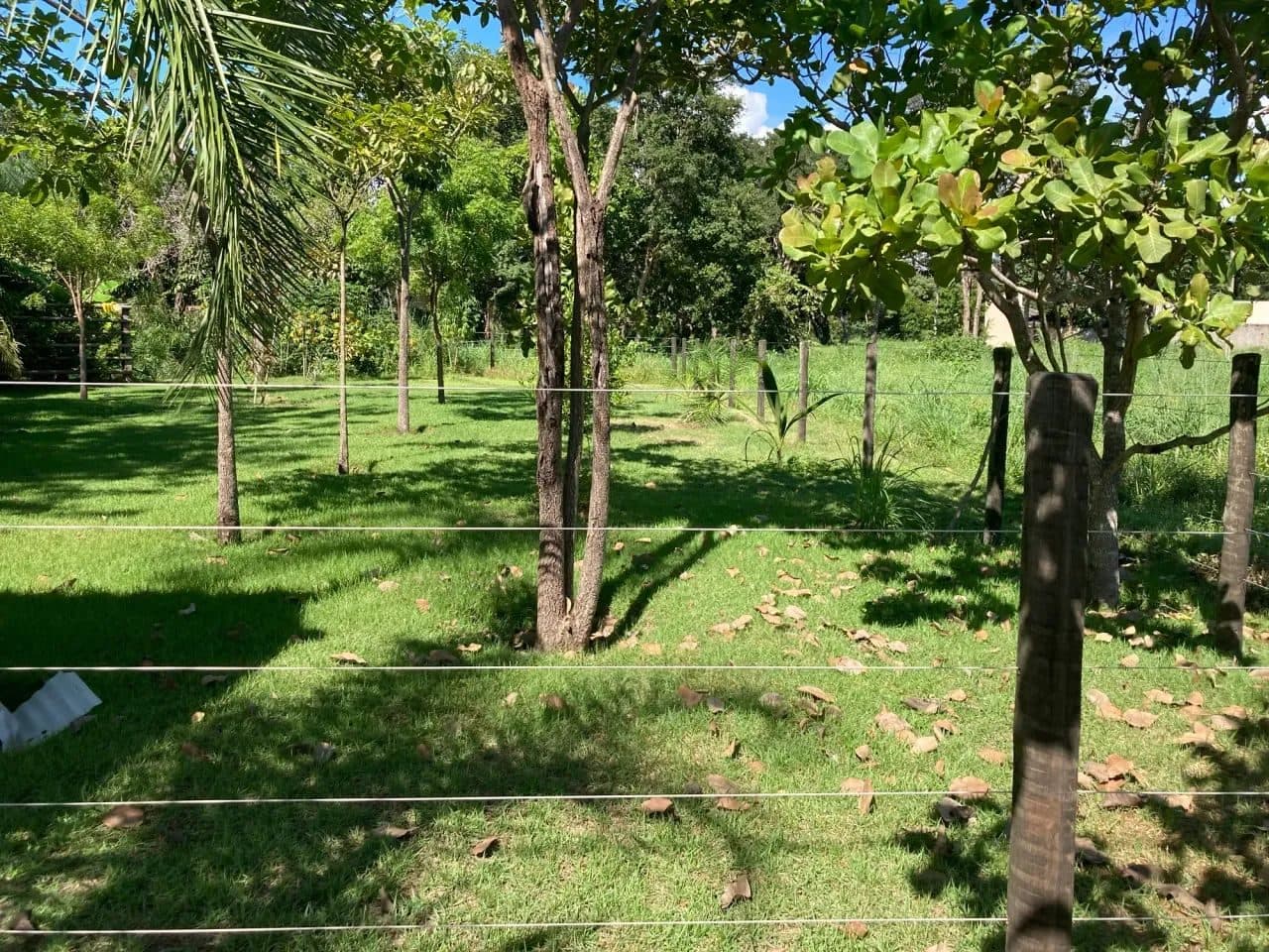 Lote em Aruanã-GO - 600m2 / Ótima Localização - Miniatura 2