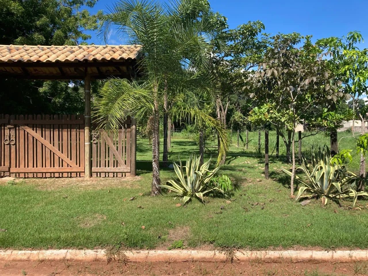 Lote em Aruanã-GO - 600m2 / Ótima Localização - Miniatura 3