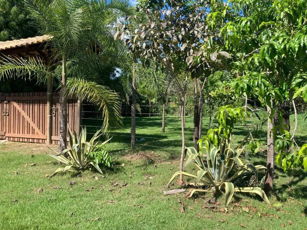 Lote em Aruanã-GO - 600m2 / Ótima Localização - Miniatura 4