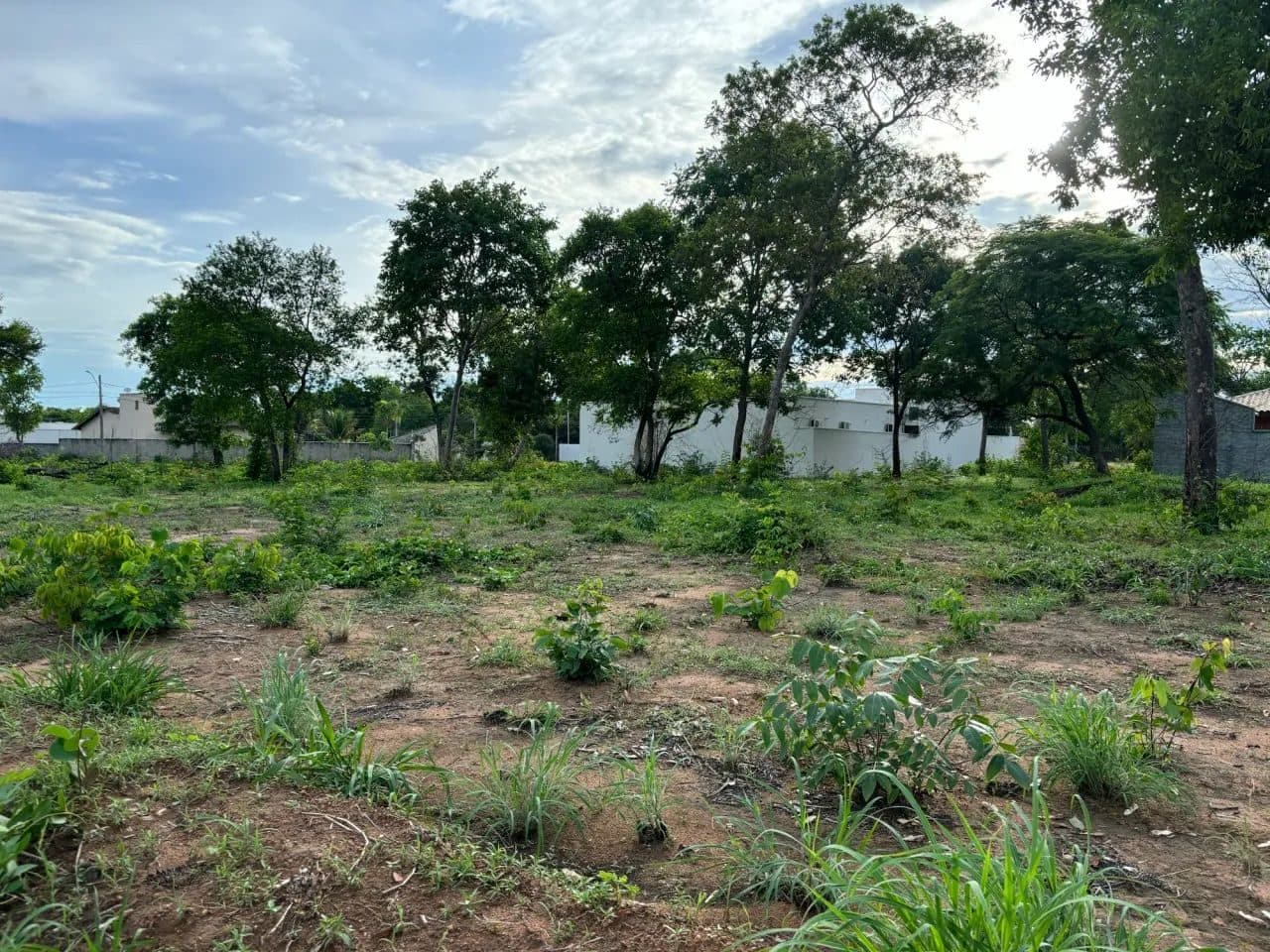 Lote em Aruanã-GO / 1.800m2 - Foto 1