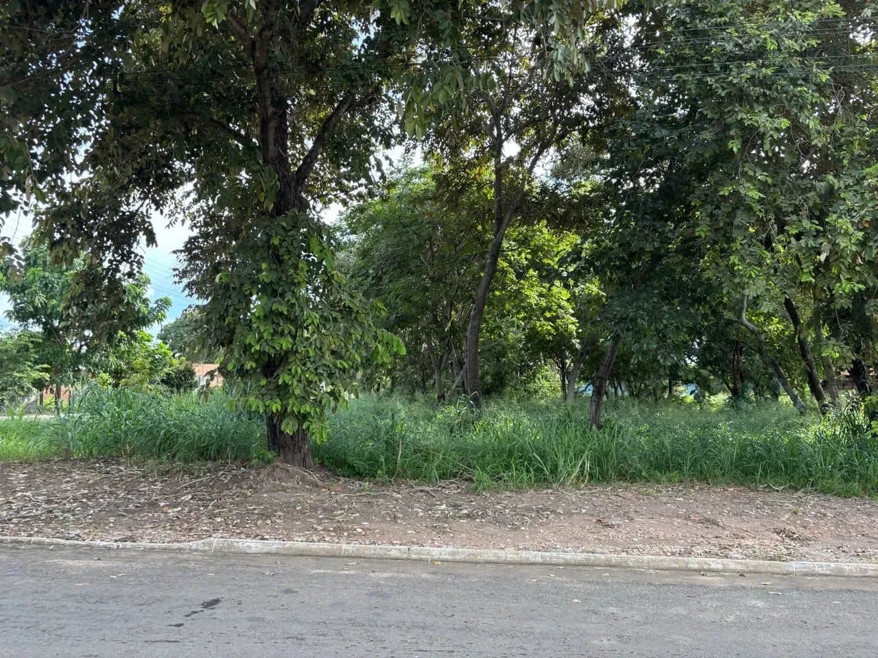 Lote em Aruanã-GO / 435m2 - Próximo ao Fórum - Foto 1