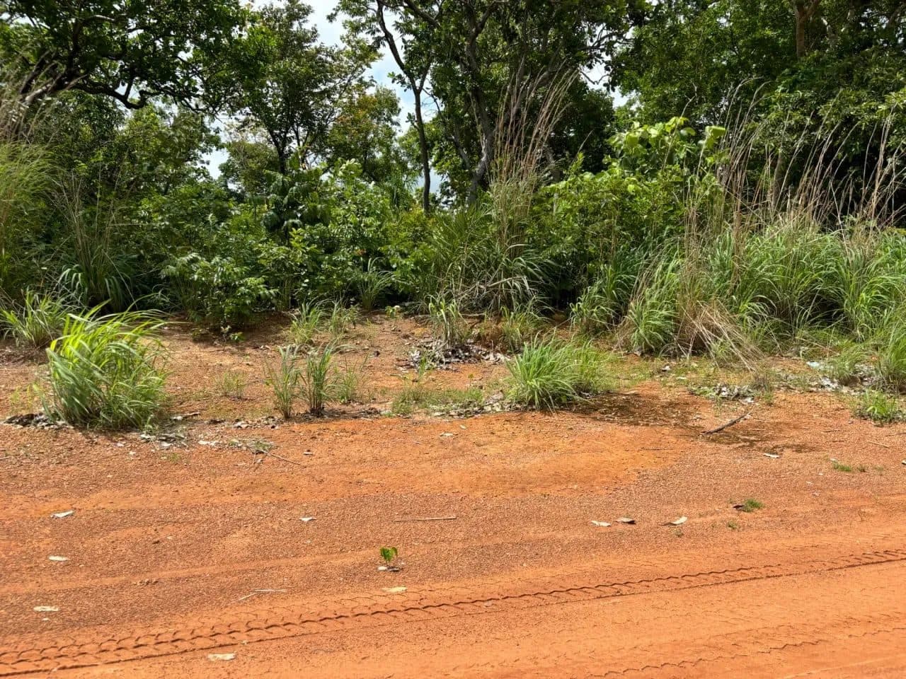 Lote em Aruanã-GO / 507m2 - Foto 1