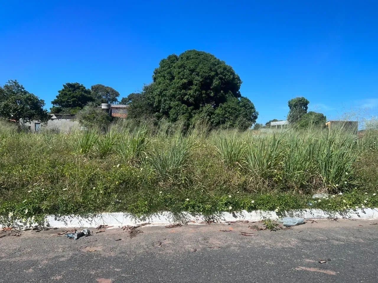 Lote em Aruanã-GO / 910m2 - Excelente Localização - Foto 1